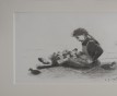 Nidiata di papere